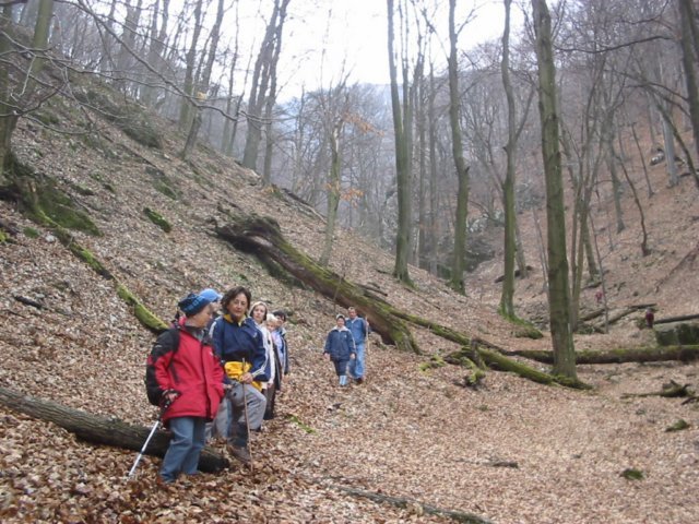 photo043.jpg