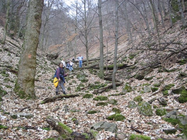 photo044.jpg