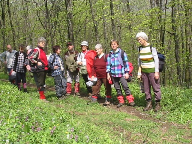 photo061.jpg