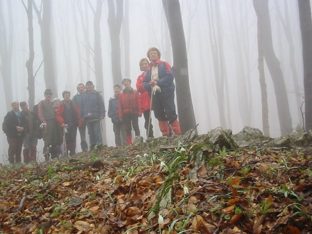 photo071.jpg