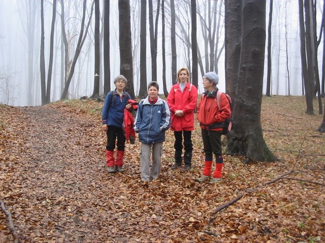 photo072.jpg