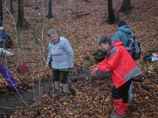 photo074.jpg