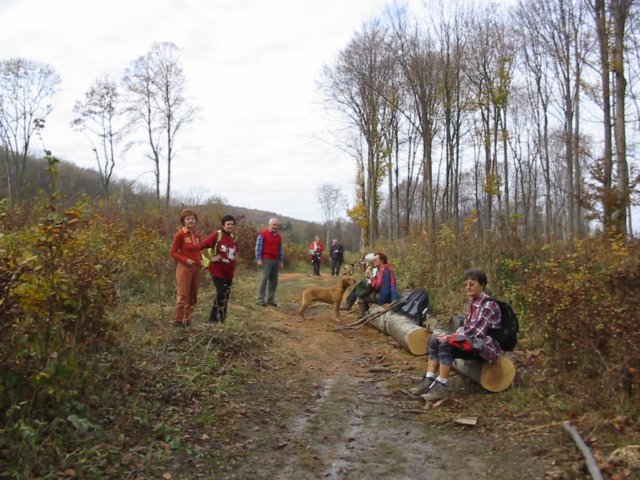 photo080.jpg