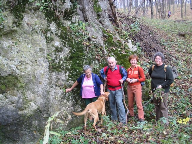 photo081.jpg