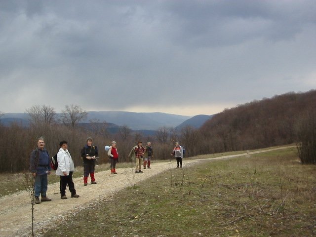 photo094.jpg