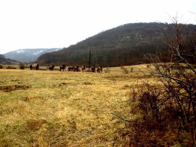 photo095.jpg