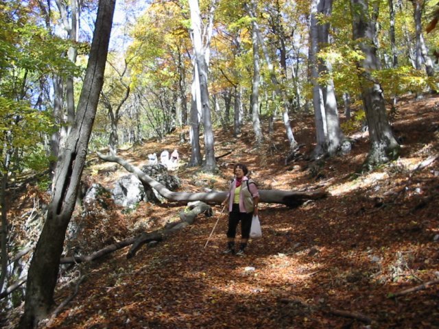 photo114.jpg