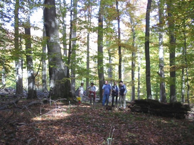 photo116.jpg