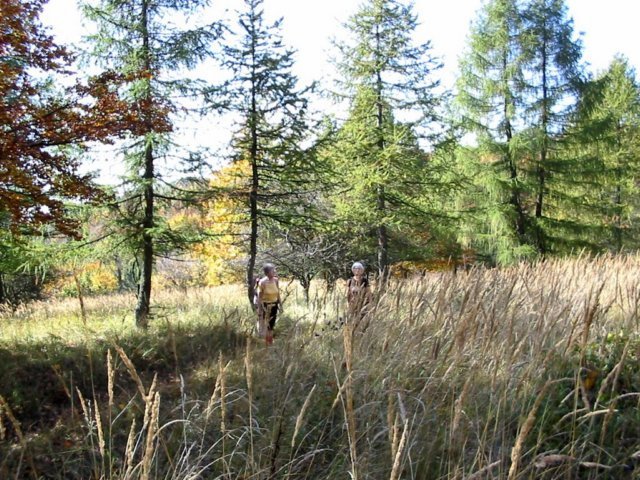 photo117.jpg
