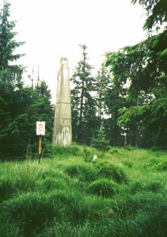 photo21.jpg