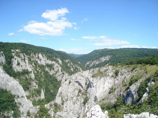 photo24.jpg