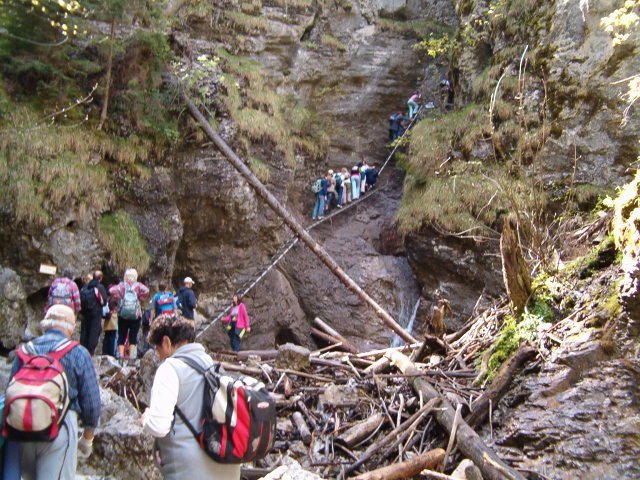 photo27.jpg