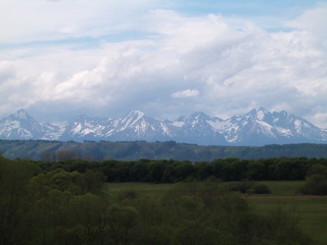 photo36.jpg