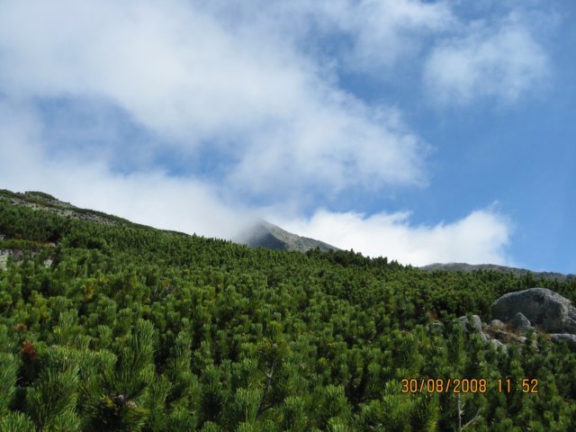 photo40.jpg