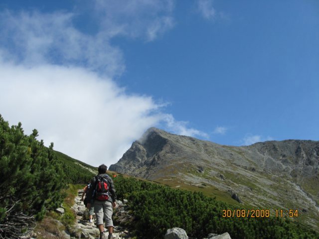 photo41.jpg