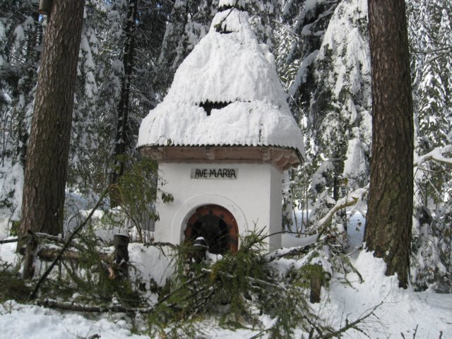 photo46.jpg