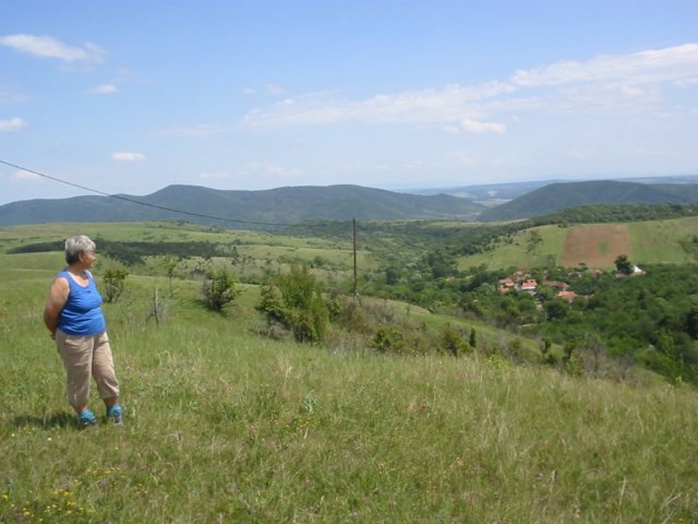photo06.jpg