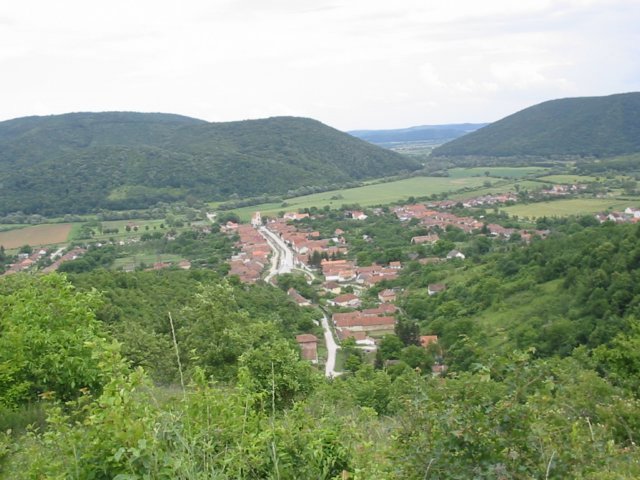 photo08.jpg