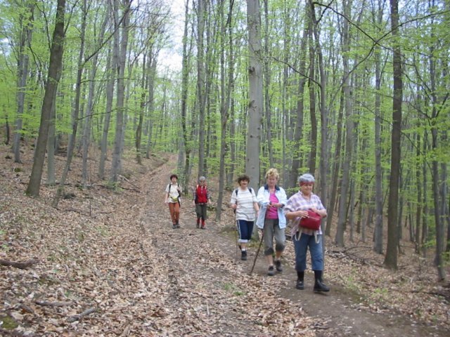 photo15.jpg
