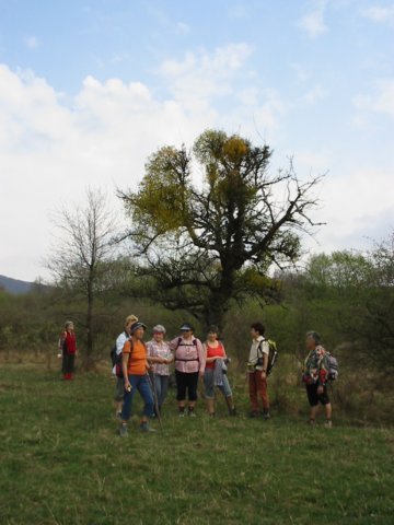 photo16.jpg