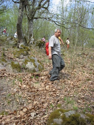photo19.jpg