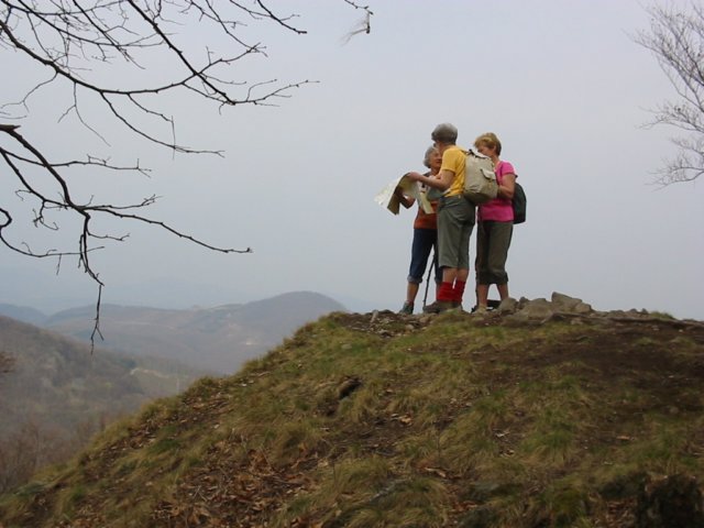 photo21.jpg