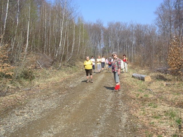 photo28.jpg