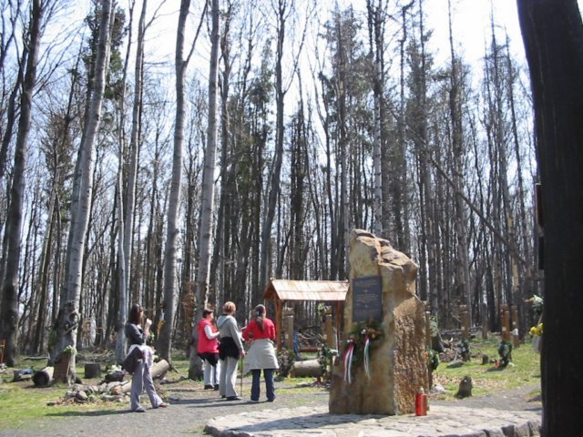 photo29.jpg
