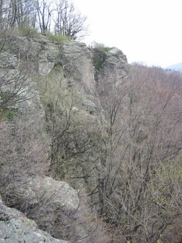 photo32.jpg