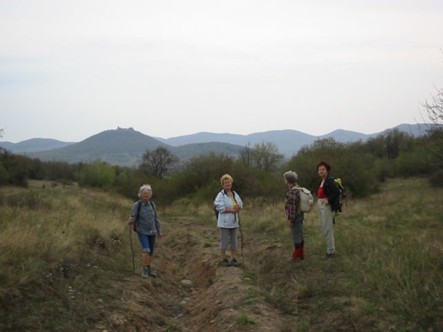 photo39.jpg