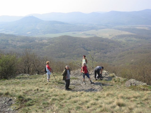 photo41.jpg