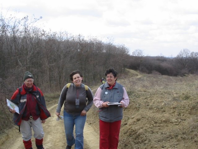 photo59.jpg