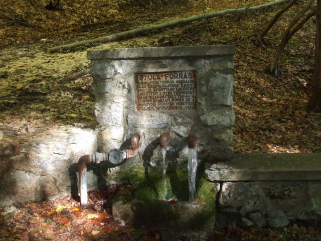 photo002.jpg