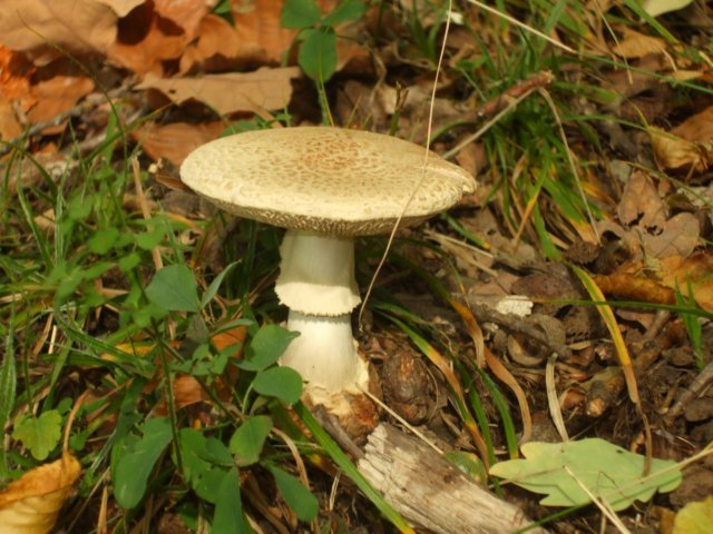 photo004.jpg