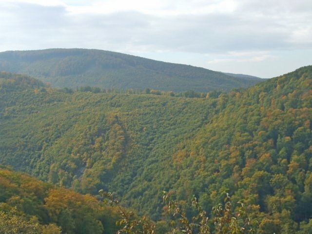 photo010.jpg