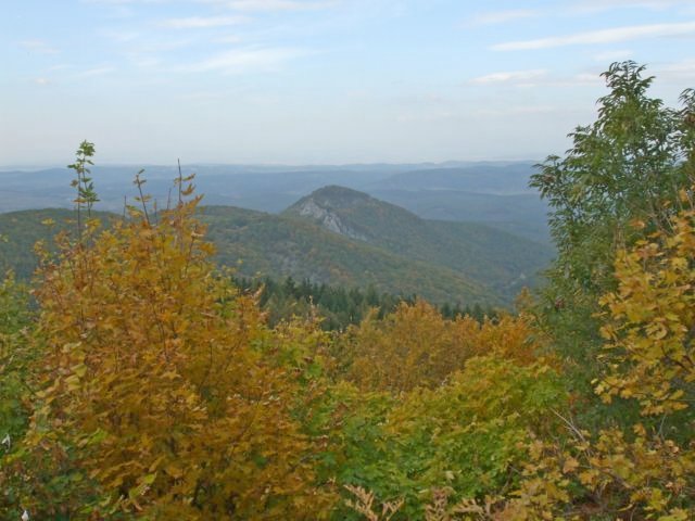 photo014.jpg