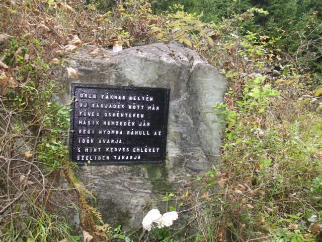 photo020.jpg