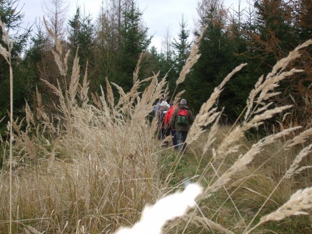photo022.jpg