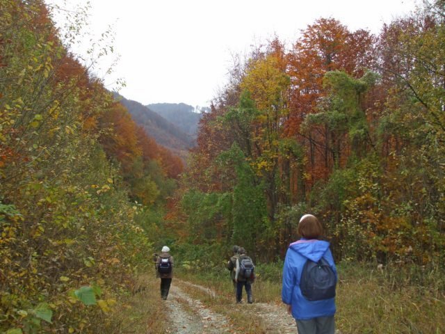 photo026.jpg