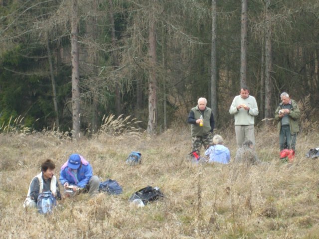 photo035.jpg
