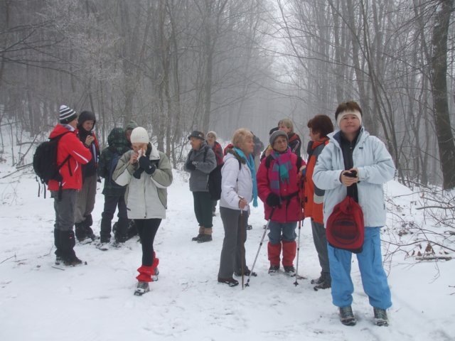 photo061.jpg