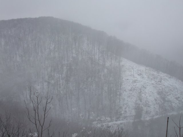 photo068.jpg