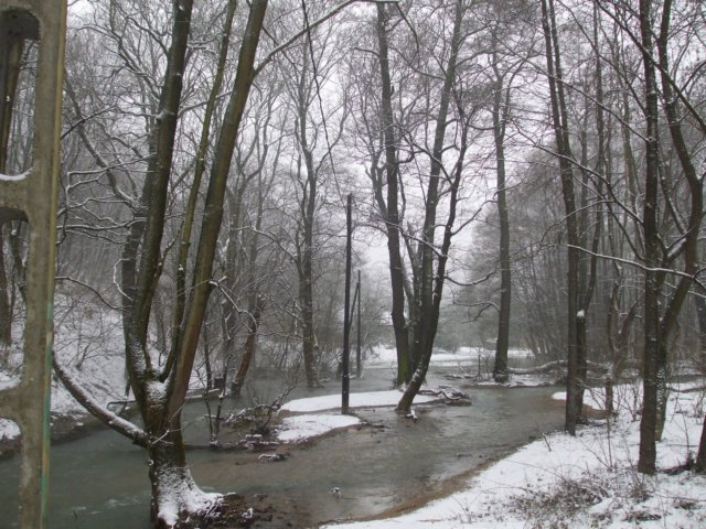 photo071.jpg