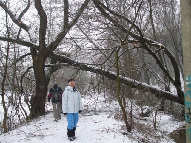 photo072.jpg