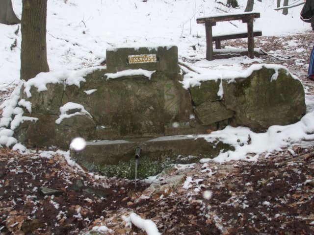 photo074.jpg