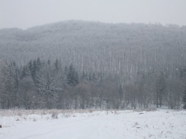 photo080.jpg