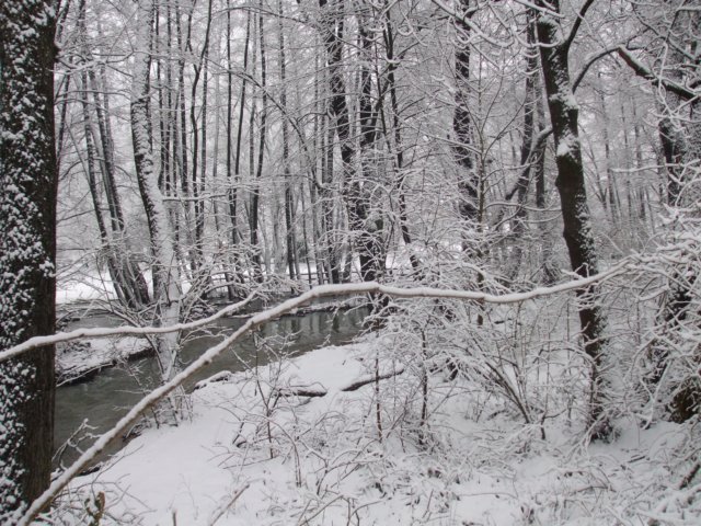 photo085.jpg