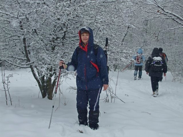 photo091.jpg
