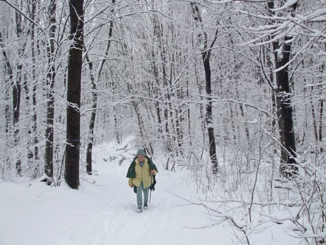 photo092.jpg