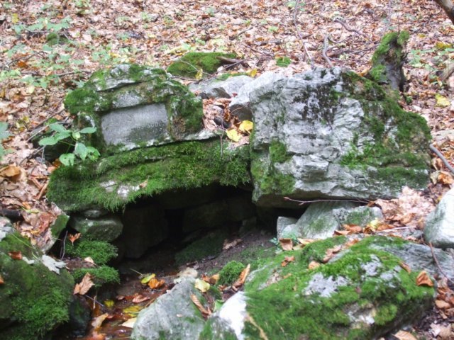 photo152.jpg